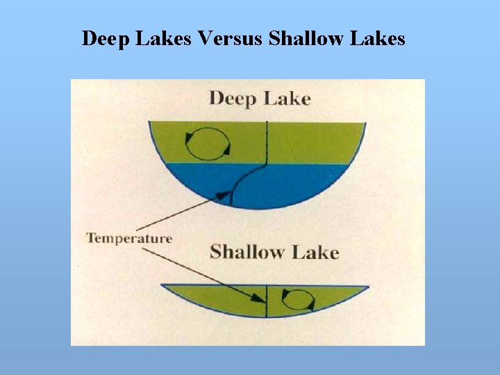 Deep Lakes Versus Shallow Lakes 