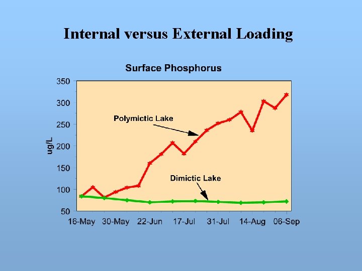 Internal versus External Loading 