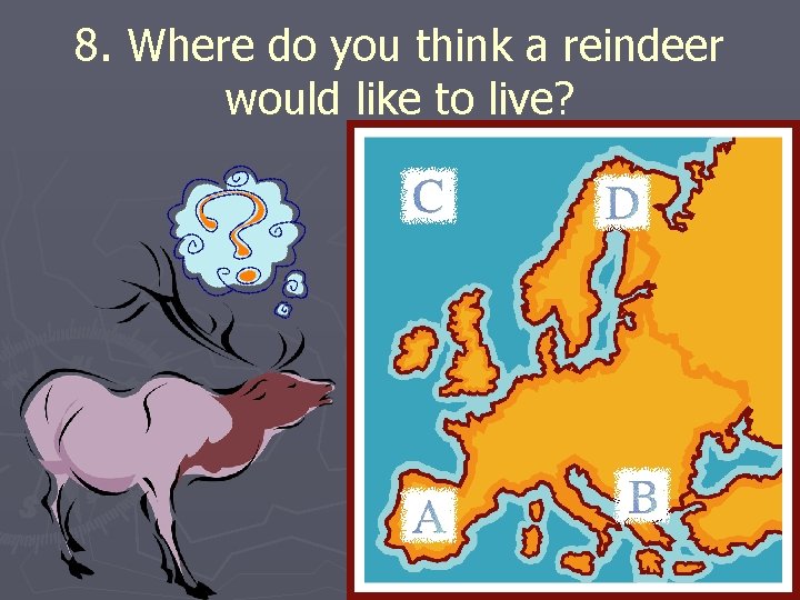 8. Where do you think a reindeer would like to live? 