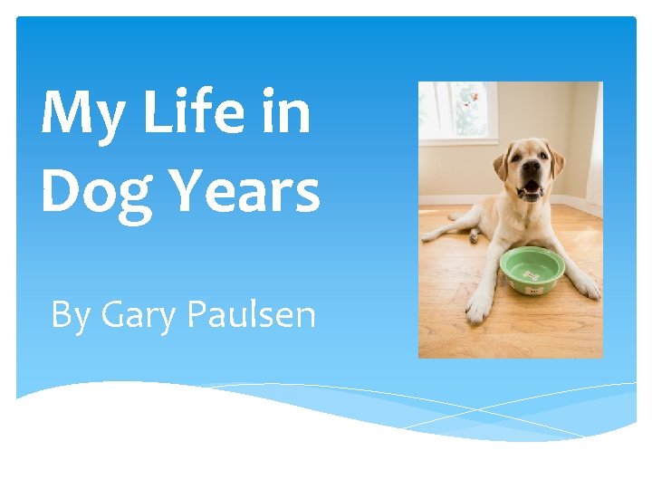 My Life in Dog Years By Gary Paulsen 