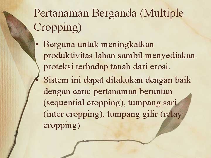 Pertanaman Berganda (Multiple Cropping) • Berguna untuk meningkatkan produktivitas lahan sambil menyediakan proteksi terhadap