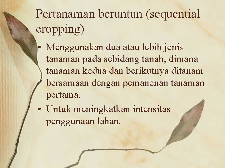 Pertanaman beruntun (sequential cropping) • Menggunakan dua atau lebih jenis tanaman pada sebidang tanah,