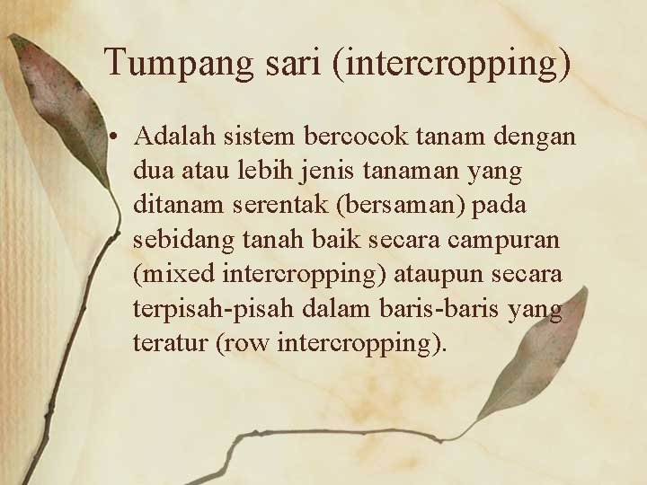 Tumpang sari (intercropping) • Adalah sistem bercocok tanam dengan dua atau lebih jenis tanaman