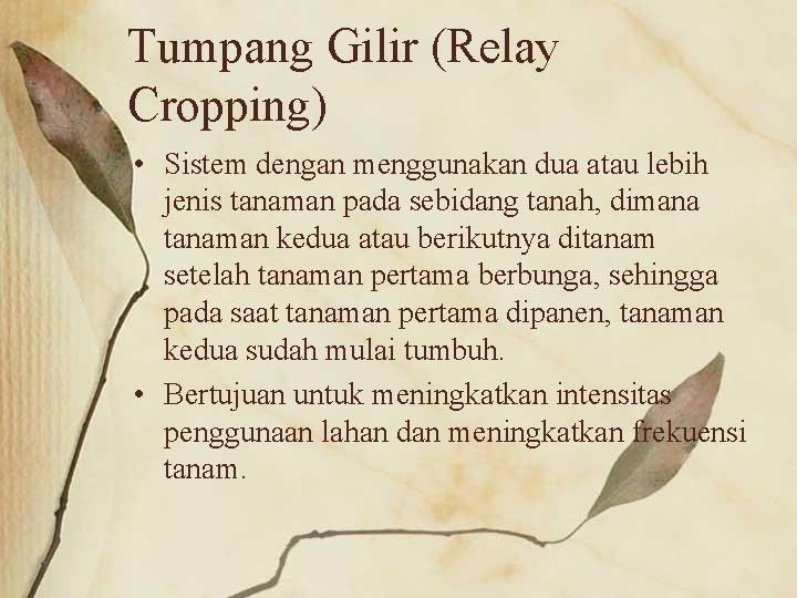 Tumpang Gilir (Relay Cropping) • Sistem dengan menggunakan dua atau lebih jenis tanaman pada