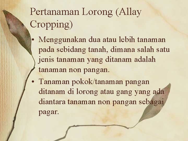 Pertanaman Lorong (Allay Cropping) • Menggunakan dua atau lebih tanaman pada sebidang tanah, dimana