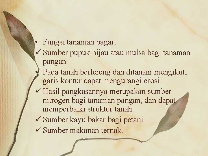  • Fungsi tanaman pagar: ü Sumber pupuk hijau atau mulsa bagi tanaman pangan.