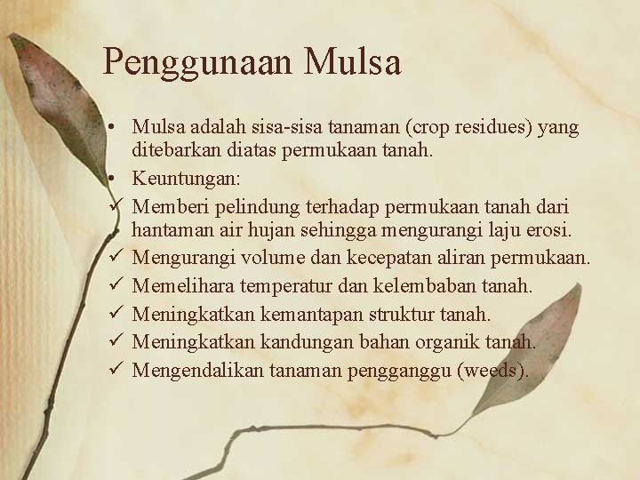 Penggunaan Mulsa • Mulsa adalah sisa-sisa tanaman (crop residues) yang ditebarkan diatas permukaan tanah.