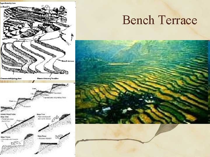 Bench Terrace 