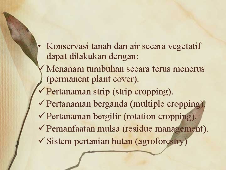  • Konservasi tanah dan air secara vegetatif dapat dilakukan dengan: ü Menanam tumbuhan