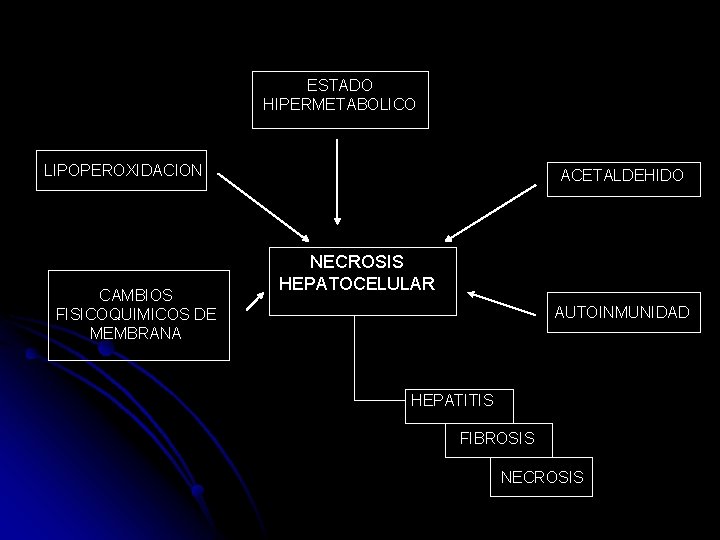 ESTADO HIPERMETABOLICO LIPOPEROXIDACION CAMBIOS FISICOQUIMICOS DE MEMBRANA ACETALDEHIDO NECROSIS HEPATOCELULAR AUTOINMUNIDAD HEPATITIS FIBROSIS NECROSIS