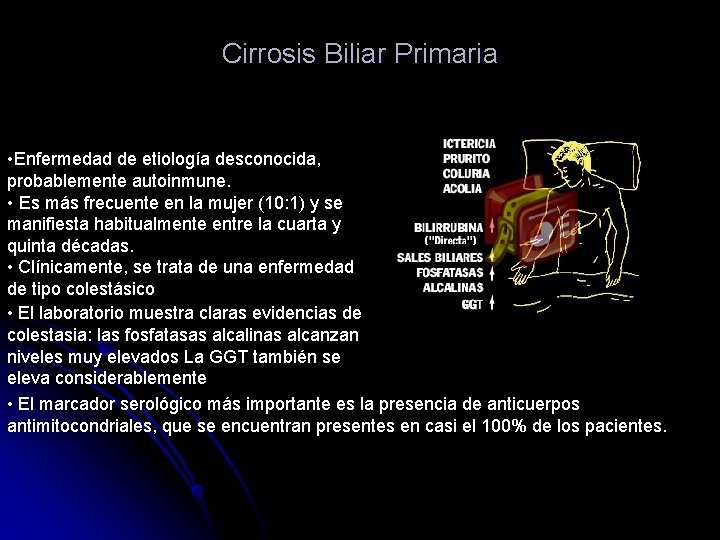 Cirrosis Biliar Primaria • Enfermedad de etiología desconocida, probablemente autoinmune. • Es más frecuente