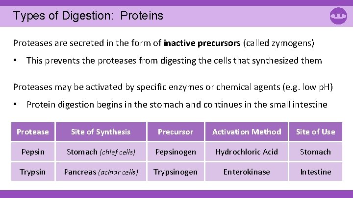 Types of Digestion: Proteins Proteases are secreted in the form of inactive precursors (called Types of Digestion: Proteins Proteases are secreted in the form of inactive precursors (called