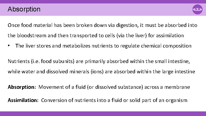 Absorption Once food material has been broken down via digestion, it must be absorbed Absorption Once food material has been broken down via digestion, it must be absorbed