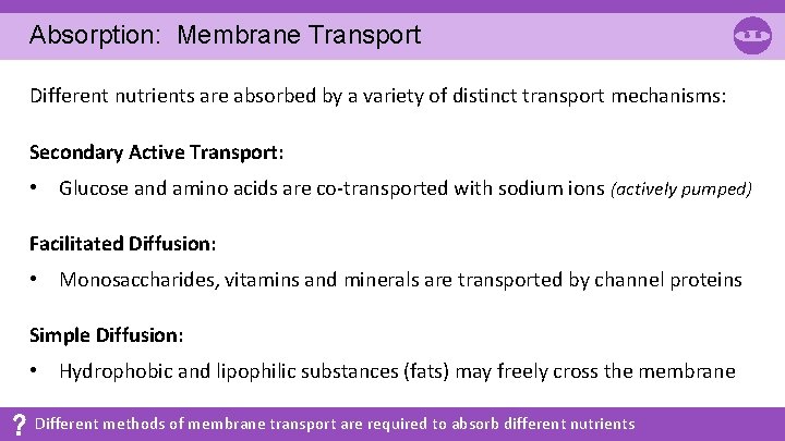 Absorption: Membrane Transport Different nutrients are absorbed by a variety of distinct transport mechanisms: Absorption: Membrane Transport Different nutrients are absorbed by a variety of distinct transport mechanisms: