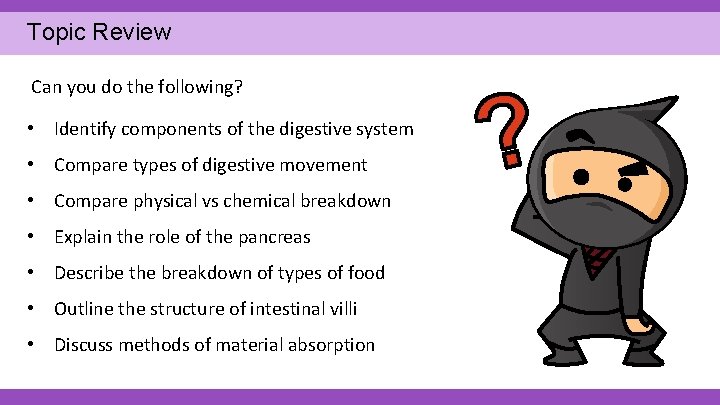 Topic Review Can you do the following? • Identify components of the digestive system Topic Review Can you do the following? • Identify components of the digestive system