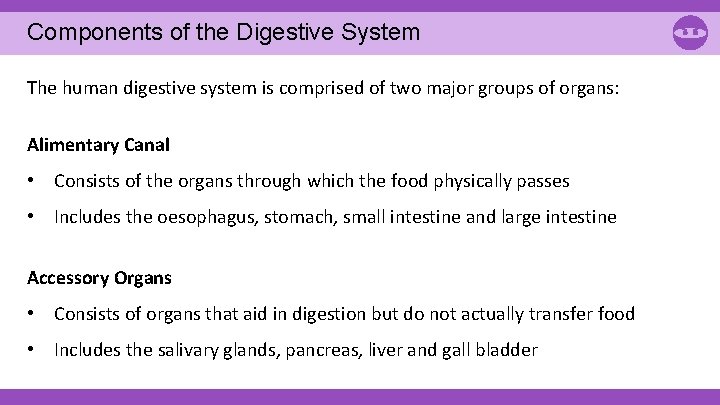 Components of the Digestive System The human digestive system is comprised of two major Components of the Digestive System The human digestive system is comprised of two major