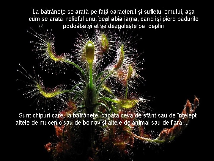 La bătrâneţe se arată pe faţă caracterul şi sufletul omului, aşa cum se arată La bătrâneţe se arată pe faţă caracterul şi sufletul omului, aşa cum se arată