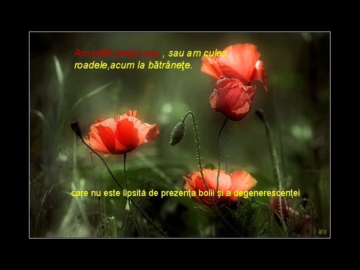Am plătit preţul sau , sau am cules roadele, acum la bătrâneţe. care nu Am plătit preţul sau , sau am cules roadele, acum la bătrâneţe. care nu