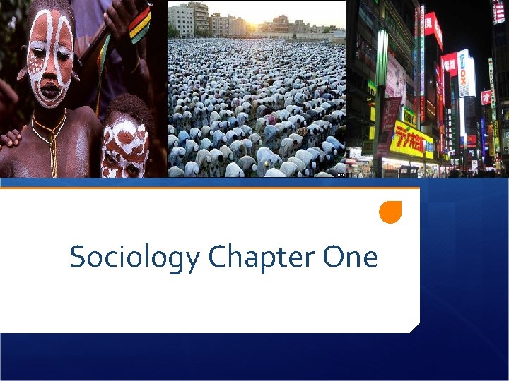 Sociology Chapter One 