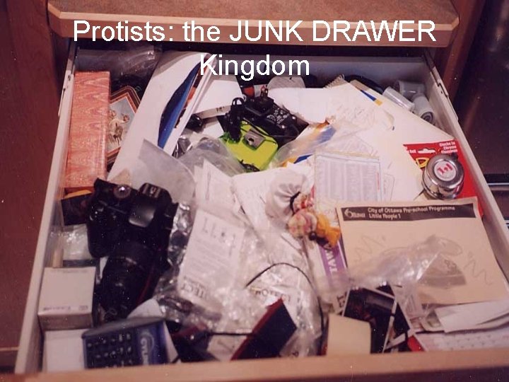 Protists: the JUNK DRAWER Kingdom 