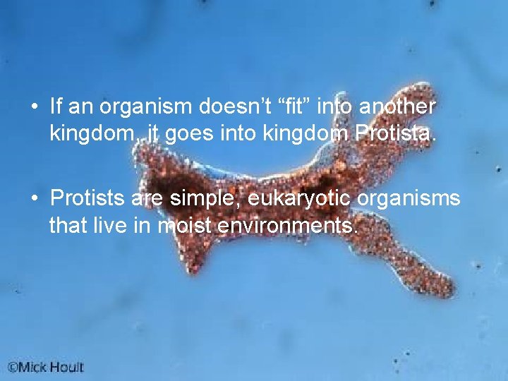  • If an organism doesn’t “fit” into another kingdom, it goes into kingdom