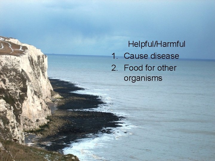 Helpful/Harmful 1. Cause disease 2. Food for other organisms 