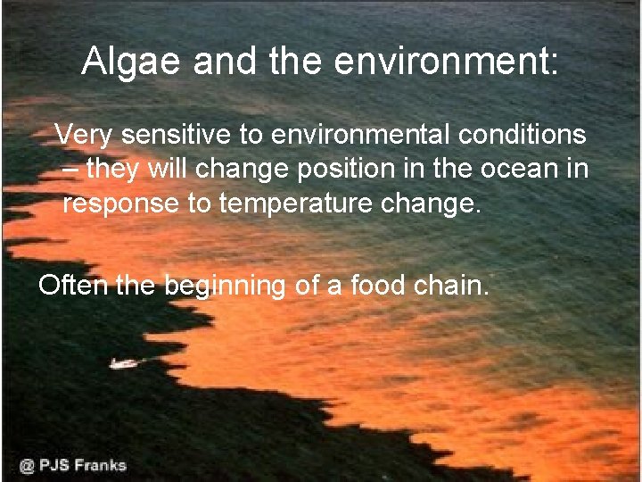 Algae and the environment: Very sensitive to environmental conditions – they will change position