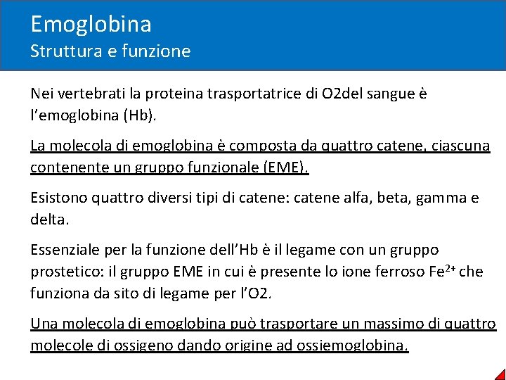 Emoglobina Struttura e funzione Nei vertebrati la proteina trasportatrice di O 2 del sangue