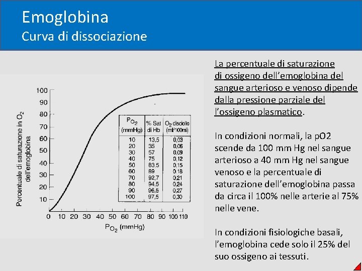 Emoglobina Curva di dissociazione La percentuale di saturazione di ossigeno dell’emoglobina del sangue arterioso
