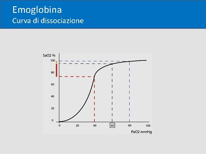 Emoglobina Curva di dissociazione 