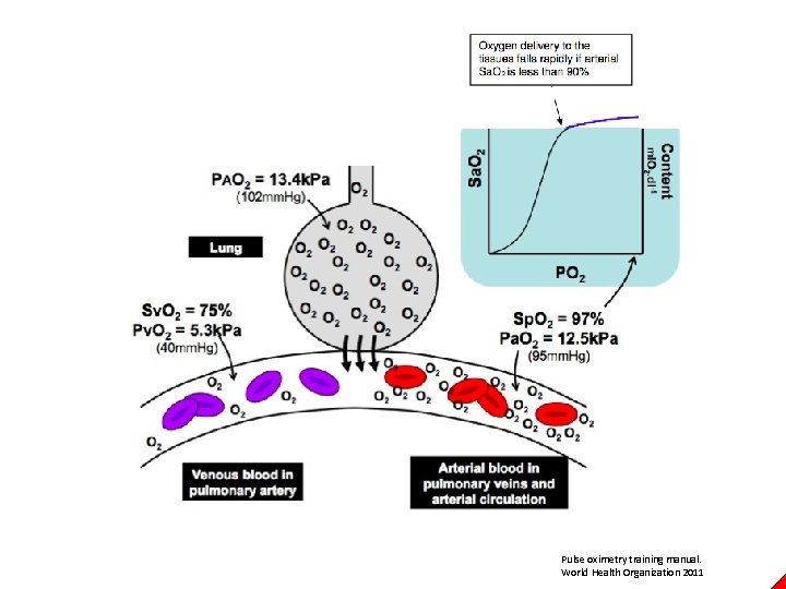 Pulse oximetry training manual. World Health Organization 2011 