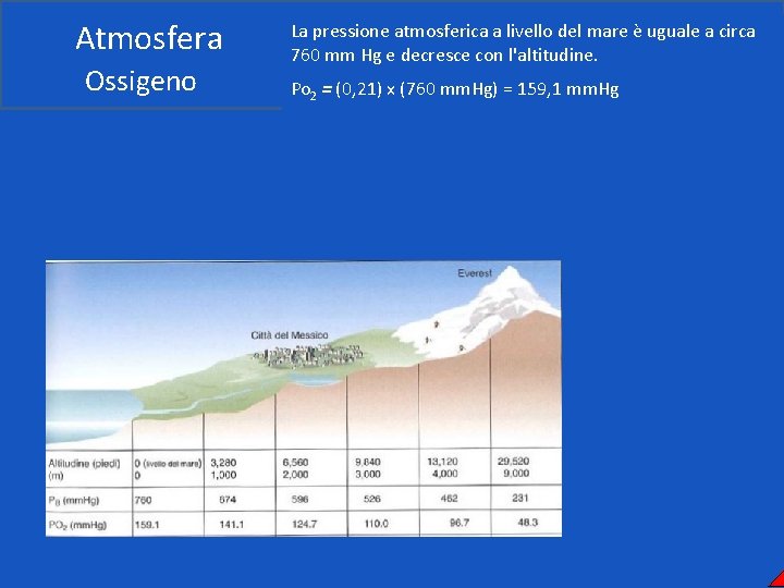 Atmosfera Ossigeno La pressione atmosferica a livello del mare è uguale a circa 760