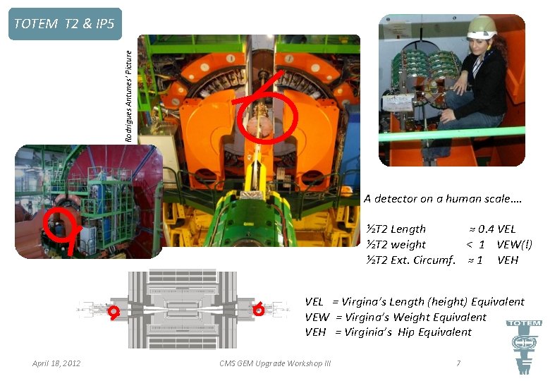 Joao Rodrigues Antunes’ Picture TOTEM T 2 & IP 5 A detector on a