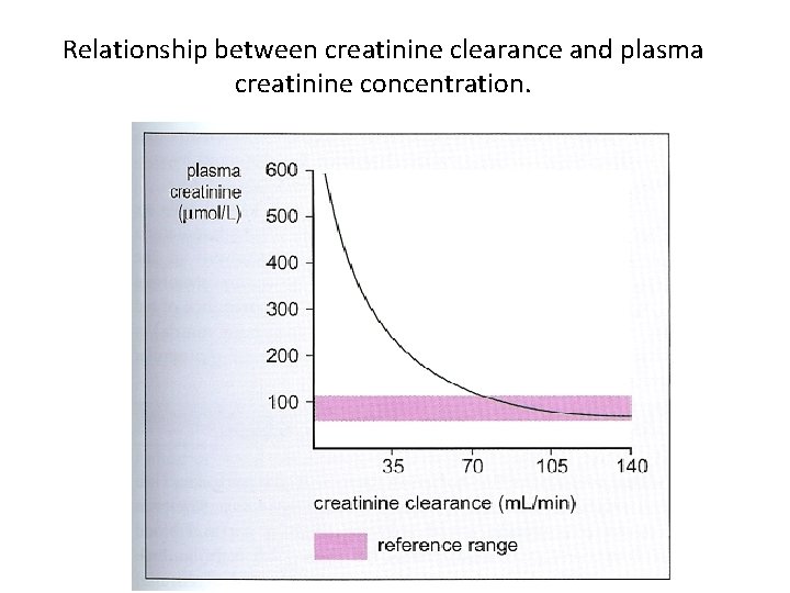 Relationship between creatinine clearance and plasma creatinine concentration. 