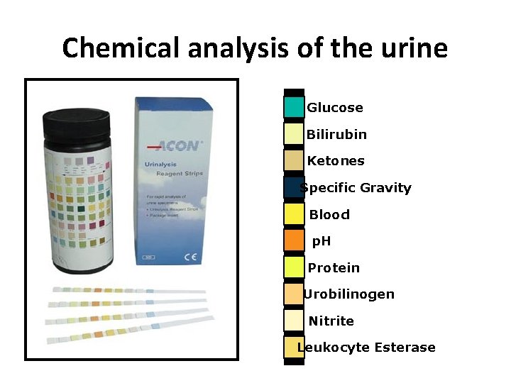 Chemical analysis of the urine Glucose Bilirubin Ketones Specific Gravity Blood p. H Protein