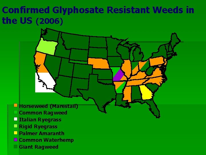Confirmed Glyphosate Resistant Weeds in the US (2006) Horseweed (Marestail) Common Ragweed Italian Ryegrass