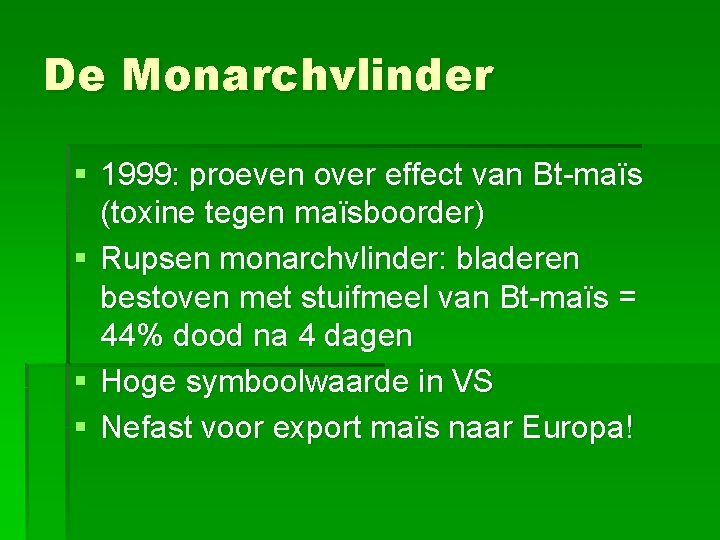 De Monarchvlinder § 1999: proeven over effect van Bt-maïs (toxine tegen maïsboorder) § Rupsen