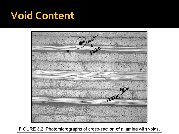 Void Content FIGURE 3. 2 Photomicrographs of cross-section of a lamina with voids. Void Content FIGURE 3. 2 Photomicrographs of cross-section of a lamina with voids.