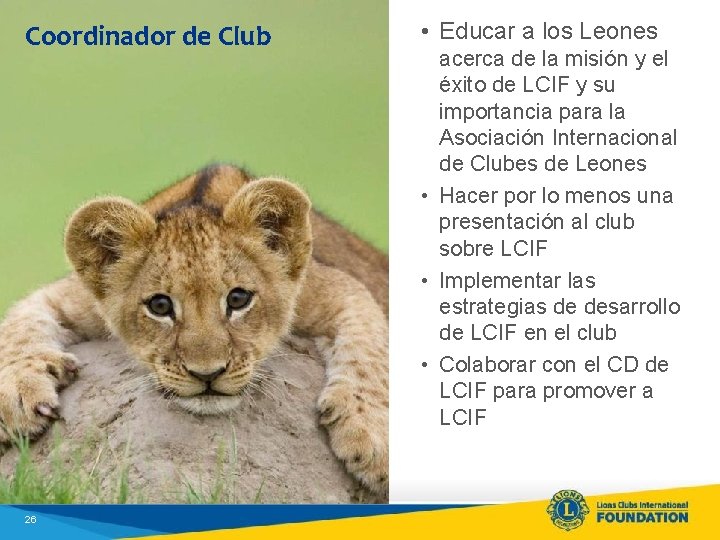 Coordinador de Club 26 • Educar a los Leones acerca de la misión y