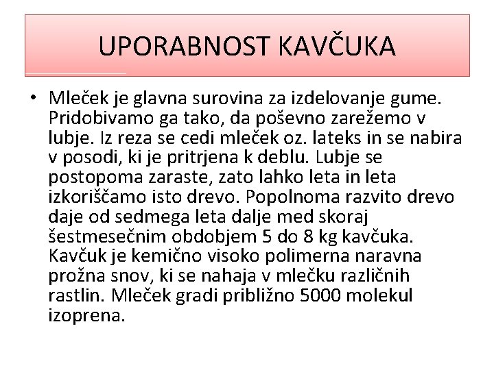 UPORABNOST KAVČUKA • Mleček je glavna surovina za izdelovanje gume. Pridobivamo ga tako, da