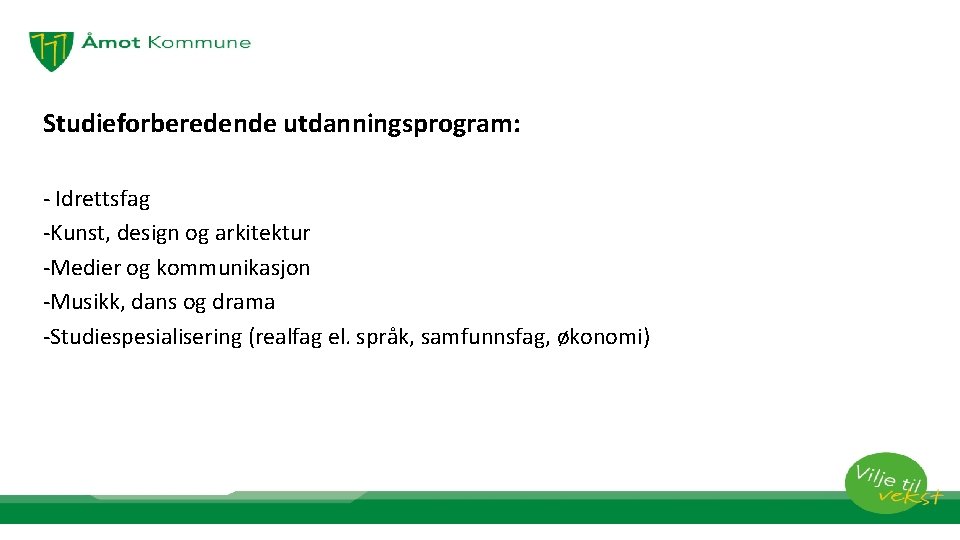 Studieforberedende utdanningsprogram: - Idrettsfag -Kunst, design og arkitektur -Medier og kommunikasjon -Musikk, dans og