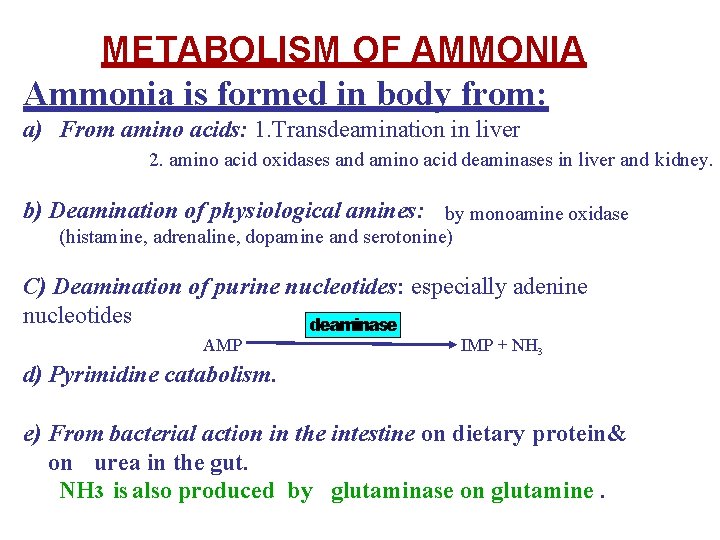 METABOLISM OF AMMONIA Ammonia is formed in body
