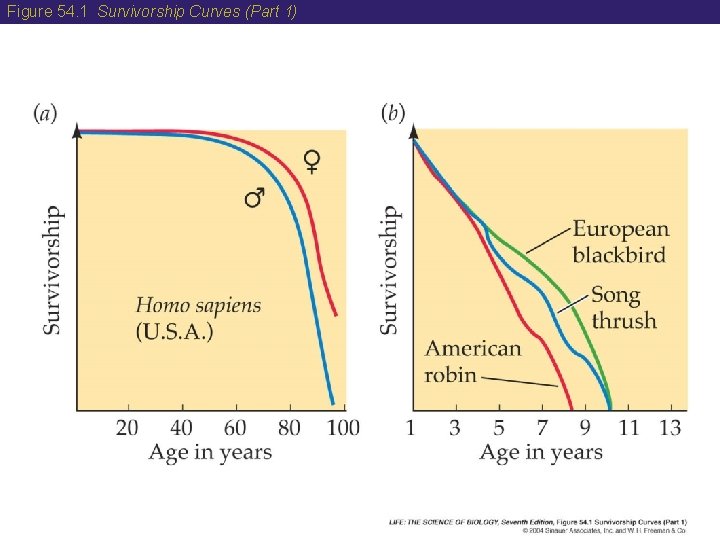 Figure 54. 1 Survivorship Curves (Part 1) 