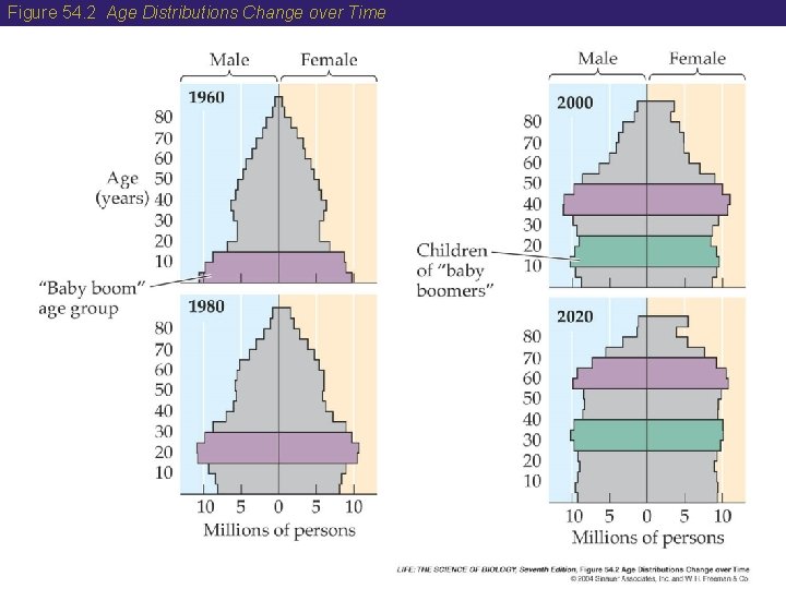 Figure 54. 2 Age Distributions Change over Time 