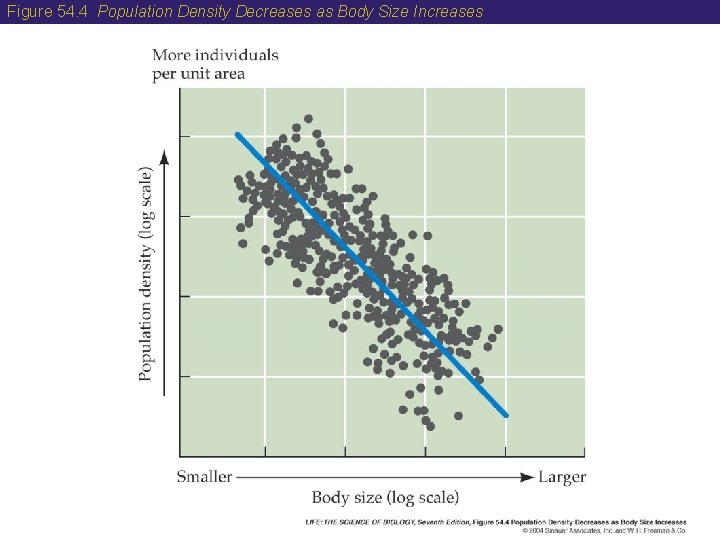 Figure 54. 4 Population Density Decreases as Body Size Increases 