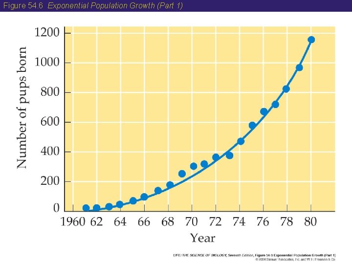 Figure 54. 6 Exponential Population Growth (Part 1) 