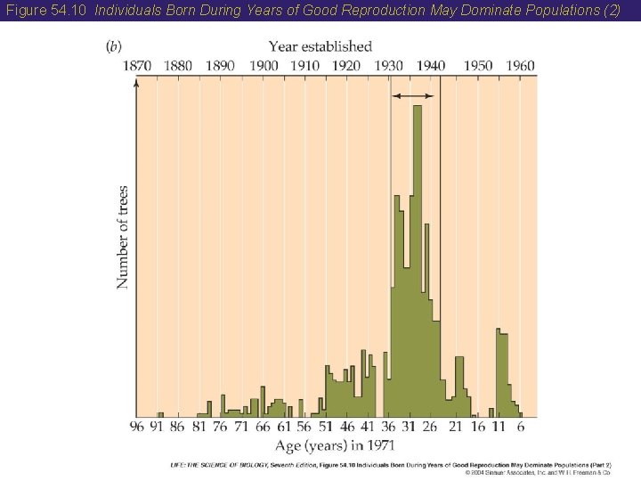 Figure 54. 10 Individuals Born During Years of Good Reproduction May Dominate Populations (2)