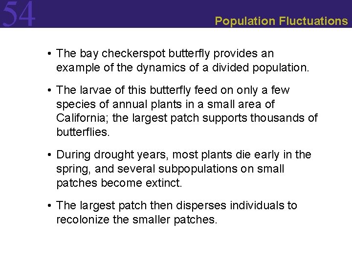 54 Population Fluctuations • The bay checkerspot butterfly provides an example of the dynamics