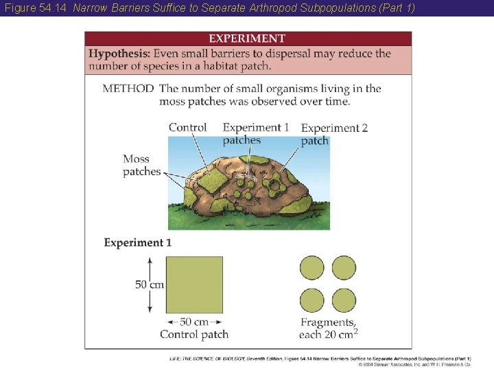 Figure 54. 14 Narrow Barriers Suffice to Separate Arthropod Subpopulations (Part 1) 