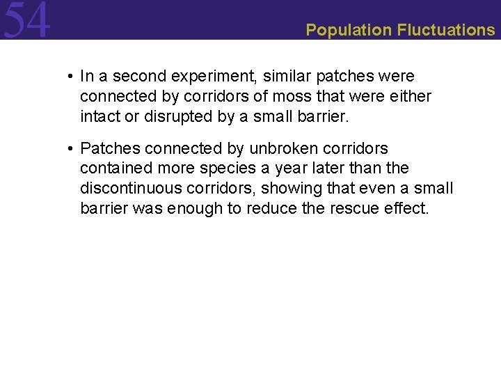 54 Population Fluctuations • In a second experiment, similar patches were connected by corridors